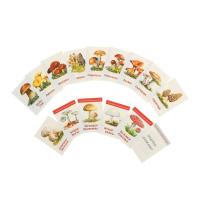 Карточки обучающие "Грибы" (16 шт.)