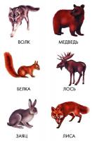 Игра-лото "Мир вокруг нас"