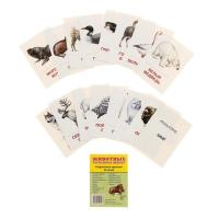 Карточки обучающие "Животные холодных широт"