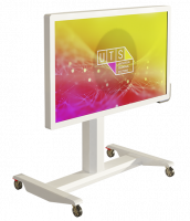 Интерактивная панель на мобильной стойке 55'