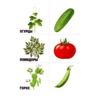 Игра-лото "Где растет огурчик"