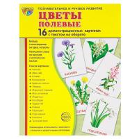 Дидактические карточки "Полевые цветы"