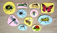 Набор "Насекомые", 11 шт.
