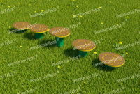 Полоса препятствий «Следы животных»