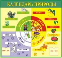 Стенд "Календарь природы" 22