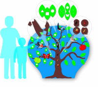 ОБРАЗОВАТЕЛЬНЫЙ НАСТЕННЫЙ МОДУЛЬ «УМНОЕ ДЕРЕВЦЕ»