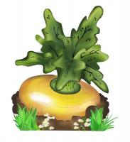 Декорация "Репка"