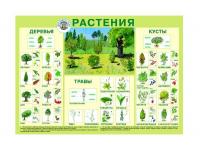 Обучающий плакат "Растения"
