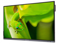 Интерактивная панель 65