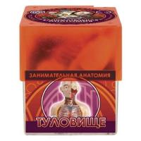 Занимательная анатомия: Кожа